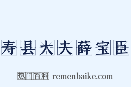 寿县大夫薛宝臣是什么意思的图片